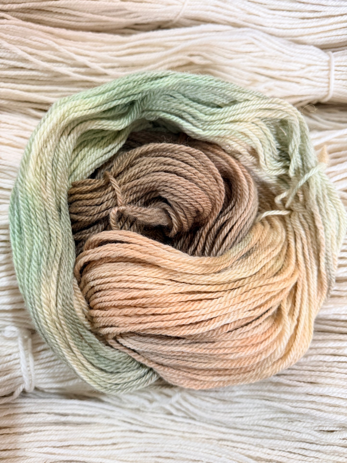 'Pistachio Shells' - ‘Eurasian Jay’ Aran - Merino