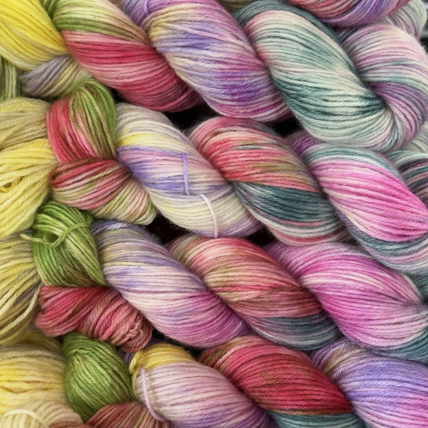 ‘Lupins’ - DK - Blue Face Leicester