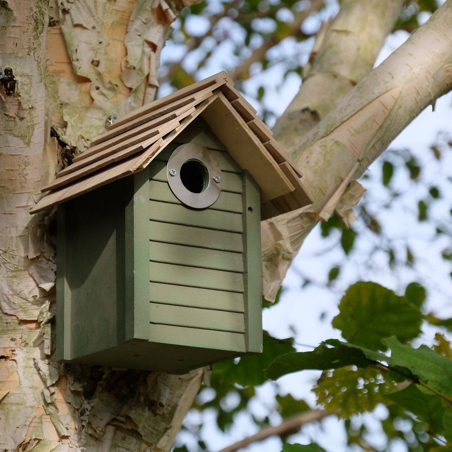 New England Nest Box