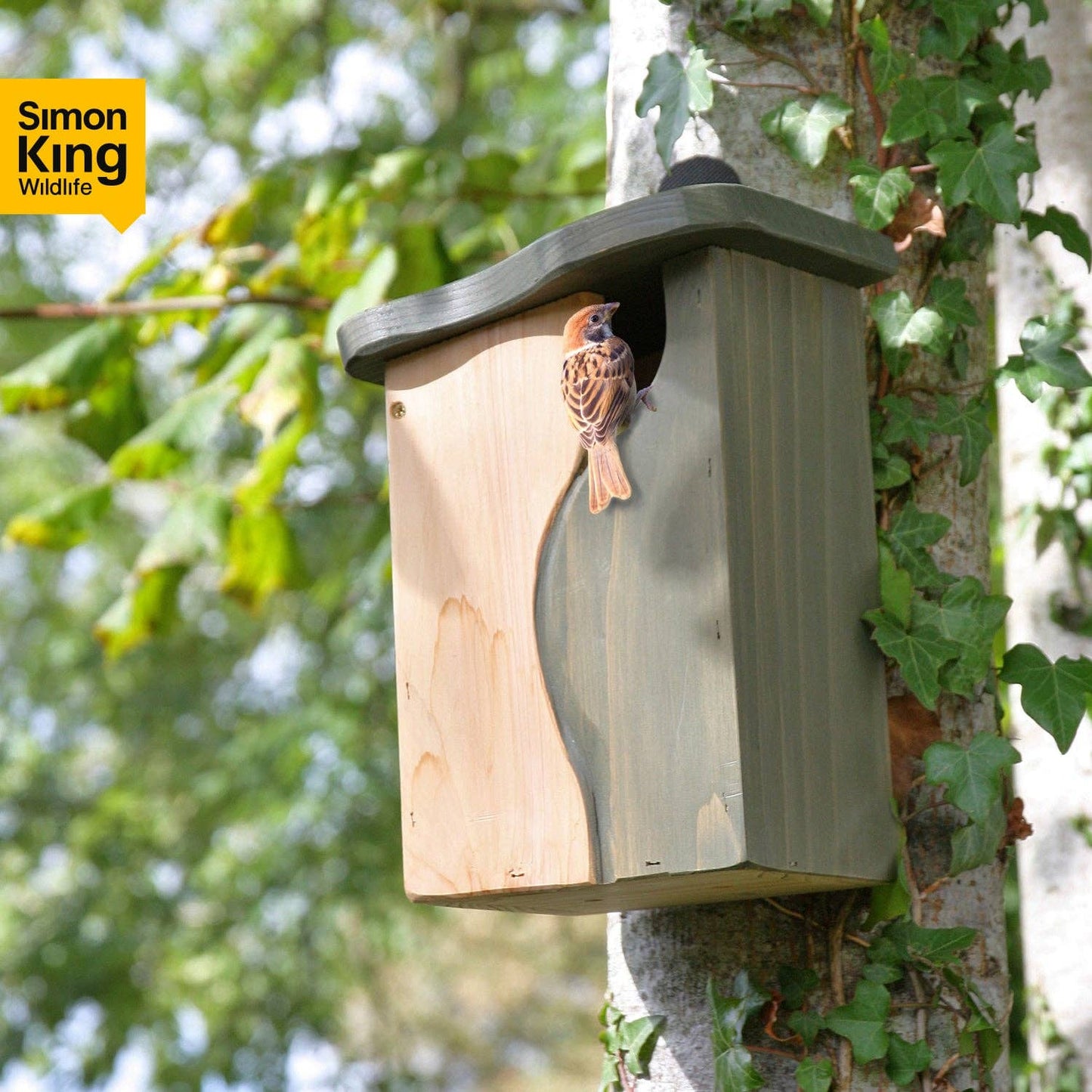 Curve, Cavity Nest Box