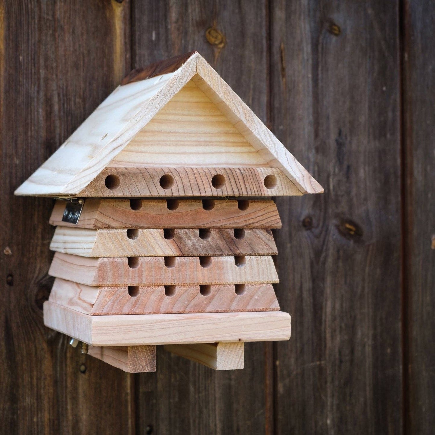 Interactive Solitary Bee Hive