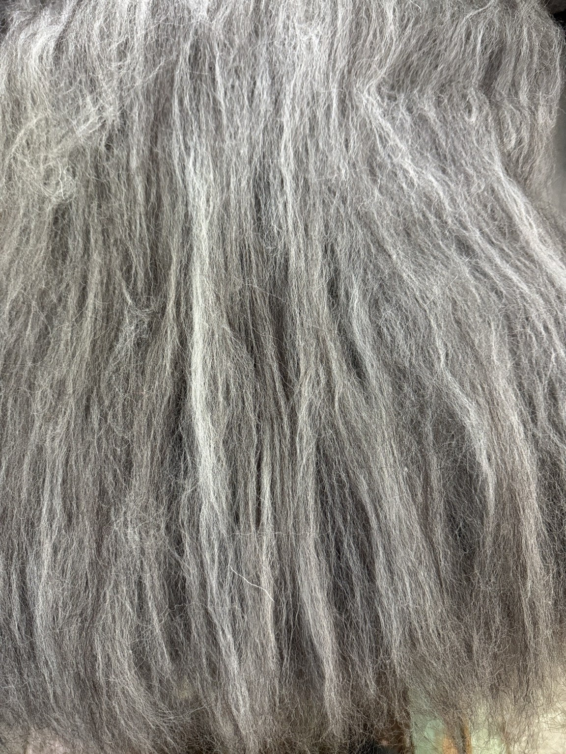 Carded Jacob’s Wool 100g Batt