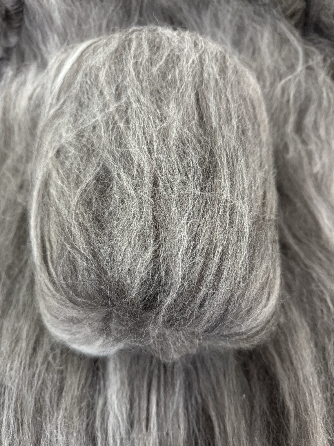 Carded Jacob’s Wool 100g Batt