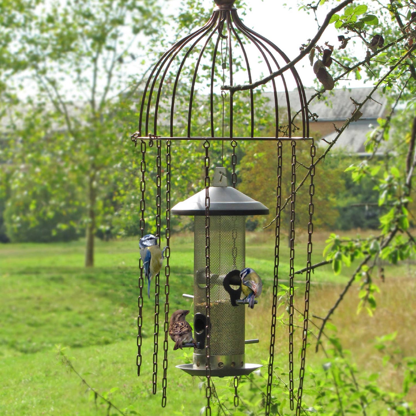 Simon King Medusa Feeder Defender - A Bird Feeder Protector
